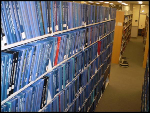 In the Fall of 2006 the USC Libraries began accepting electronic-only deposit of dissertations and theses.
