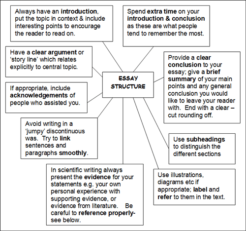 Help writing college essay