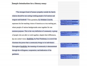 how to write an english literature essay introduction