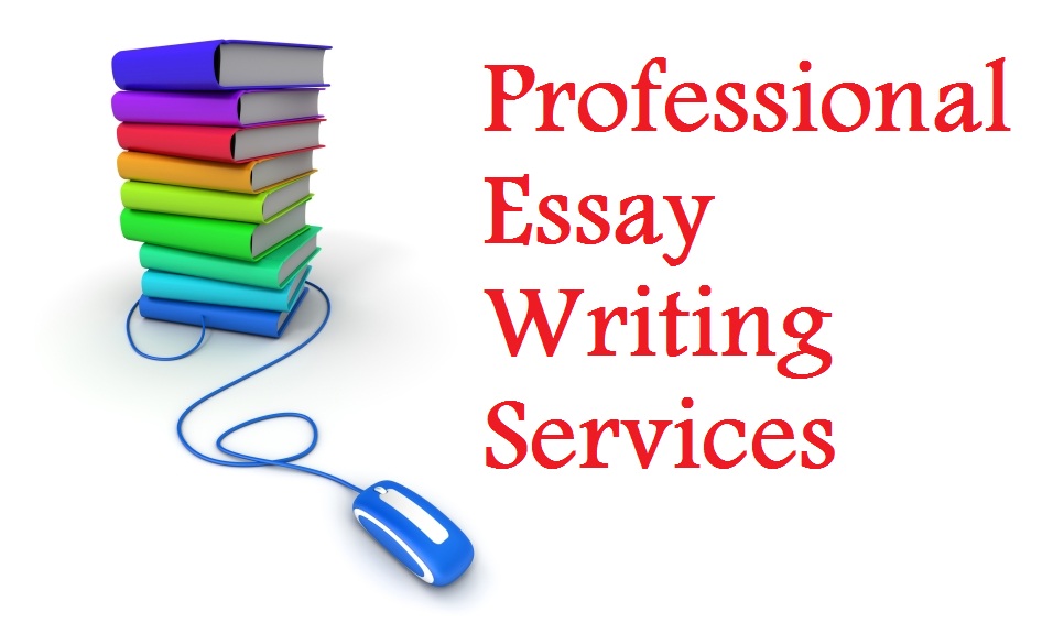 Online custom essay writing service