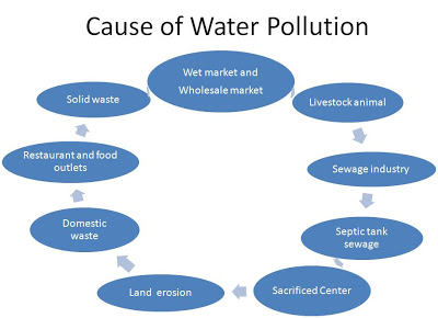 Water pollution essay